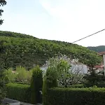Panos Modern *
