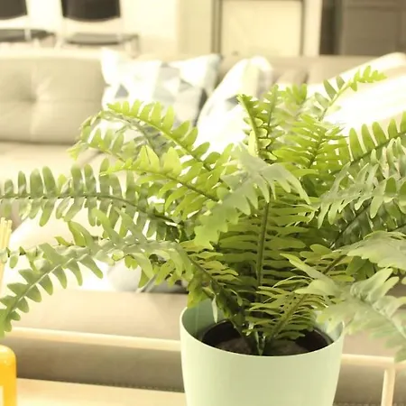 Panos Modern Mouzaki